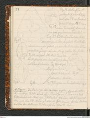 Seite 62, Tagebuch "Palästina (Tagebuch)" (NHMW-PRAE-BBB-80)